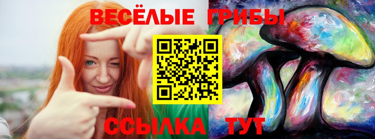 Псилоцибиновые грибы Psilocybine cubensis  Вход с VPN  Шелехов 